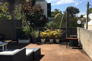 Shaw Street NORTH BONDI Unit