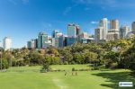Darley Street NEUTRAL BAY House