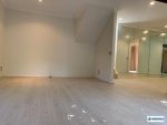 Darley Street NEUTRAL BAY House