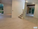 Darley Street NEUTRAL BAY House