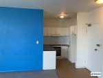 Regent Street CHIPPENDALE Apartment
