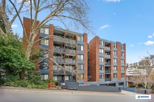 Wigram Rd GLEBE Apartment